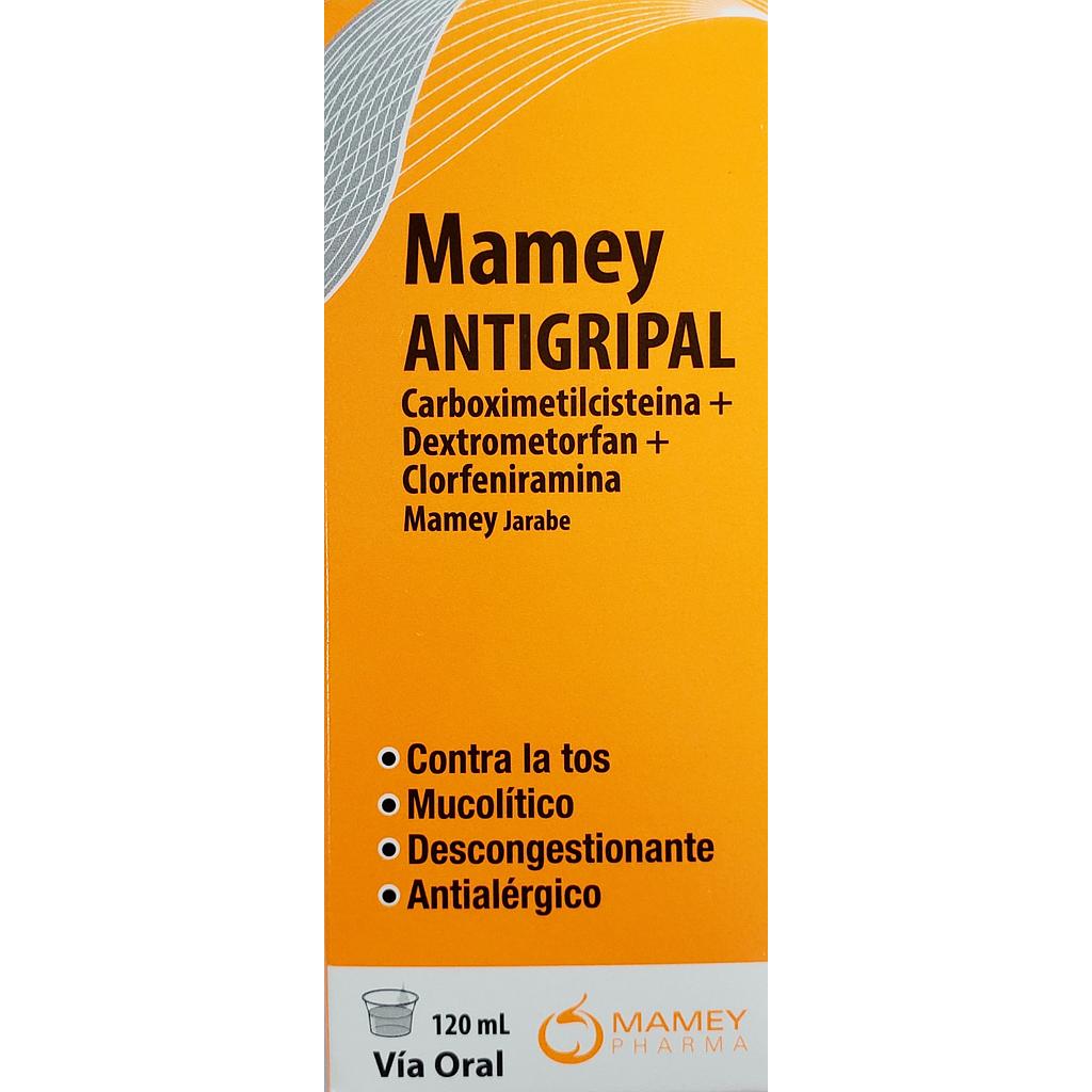 Antigripal Mamey Jbe x 120ml